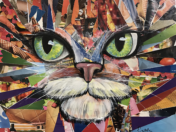 Gato - 40 x 50 - Mista - 2018